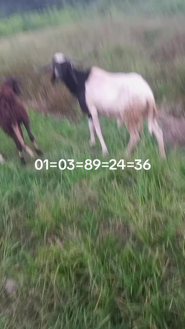 @Sangaré Moussa