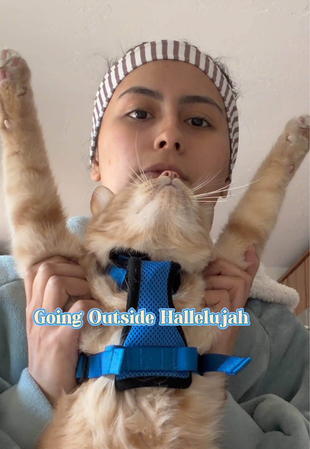 @amielgomez