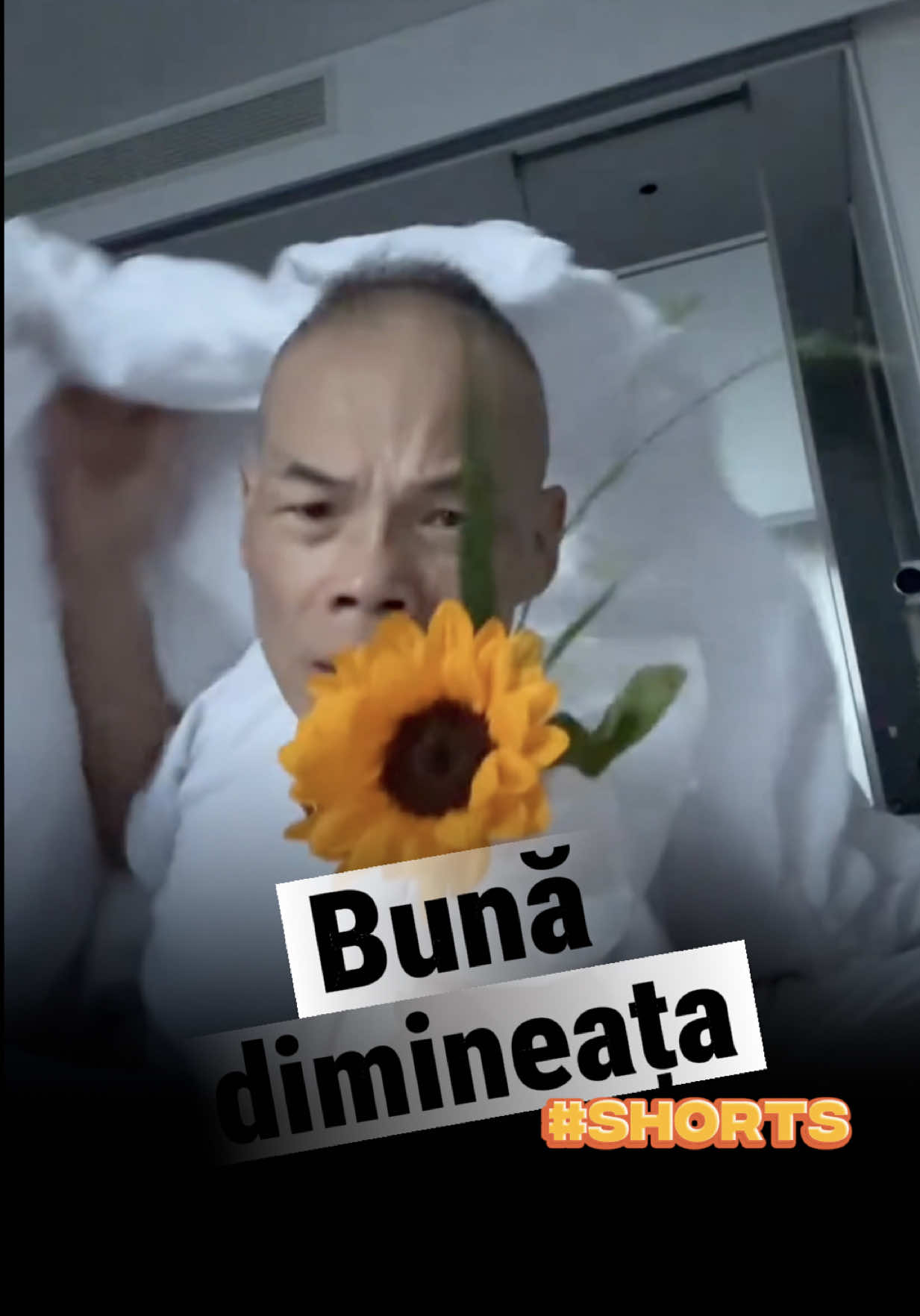 @daebator