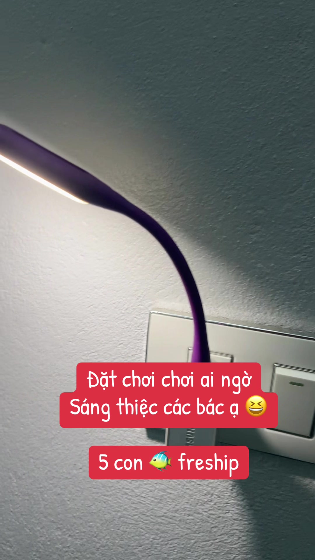 @Hỉm Tạp Ho&aacute;