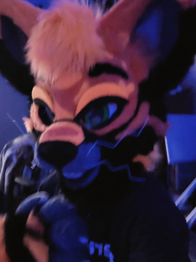 @★FrenziFox★ 🔜 Denfur '26