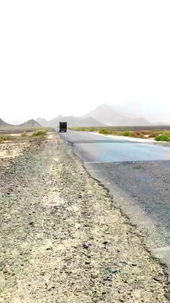 @New _Wali_bus