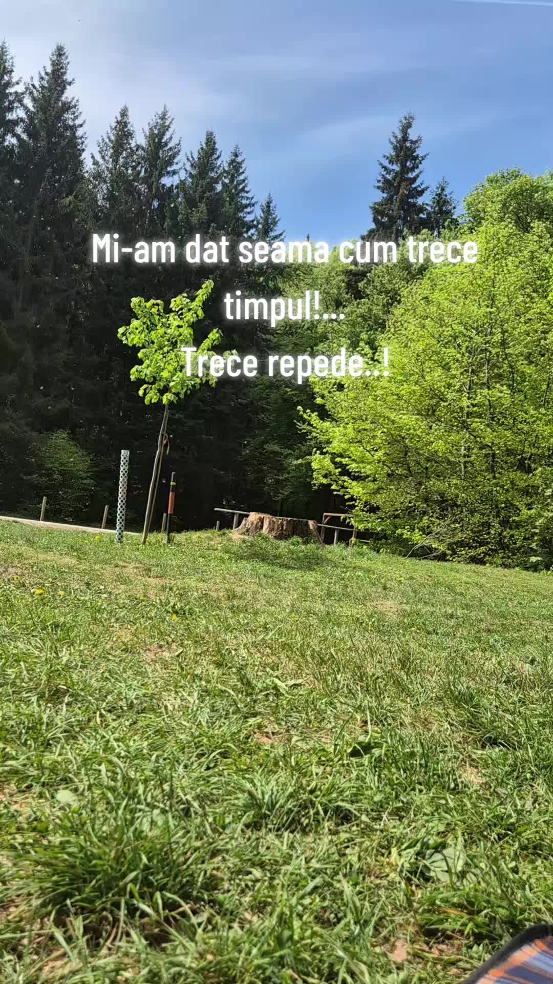 @Madalina Miron