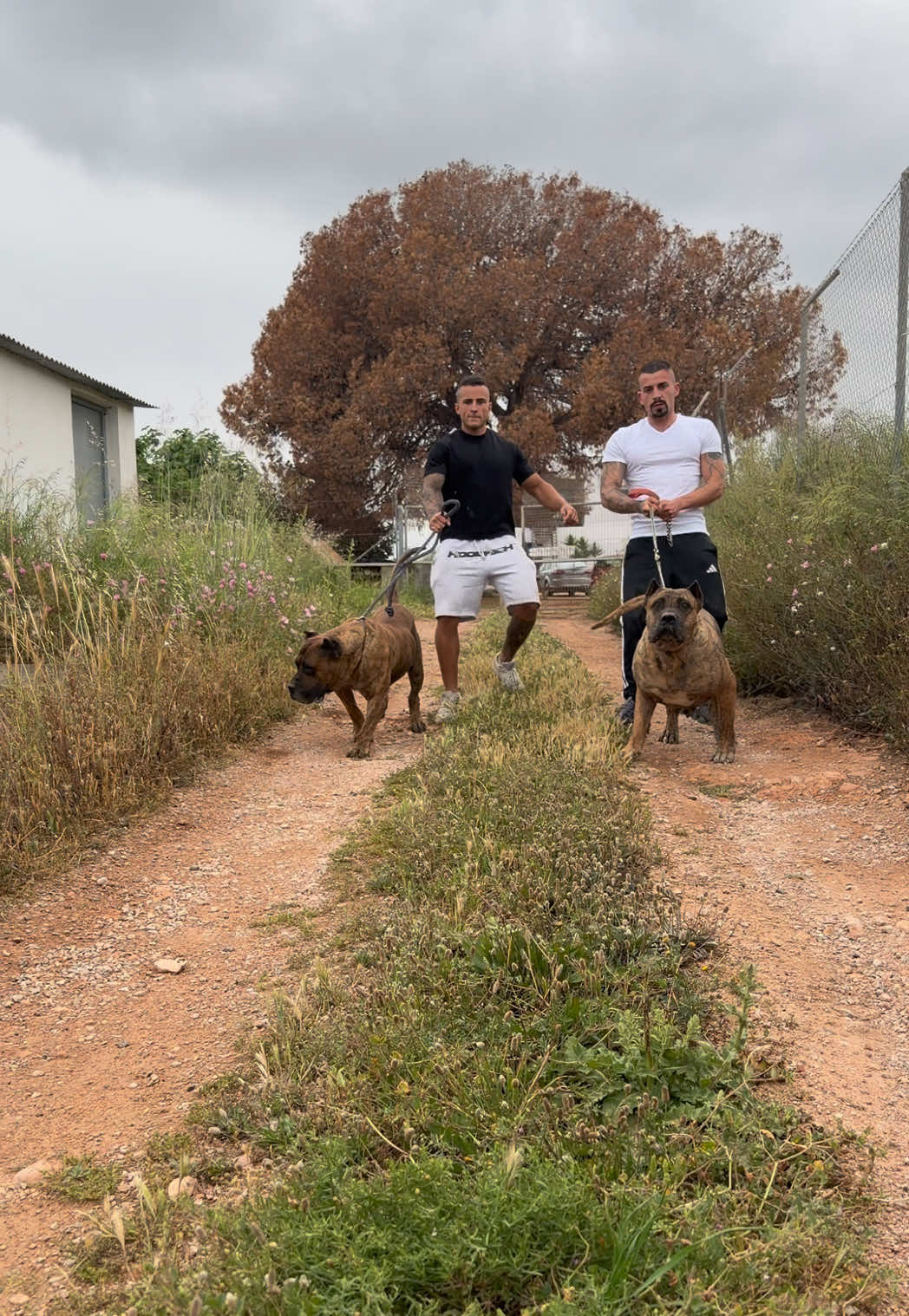 @Alberto Presa Canario Sanz