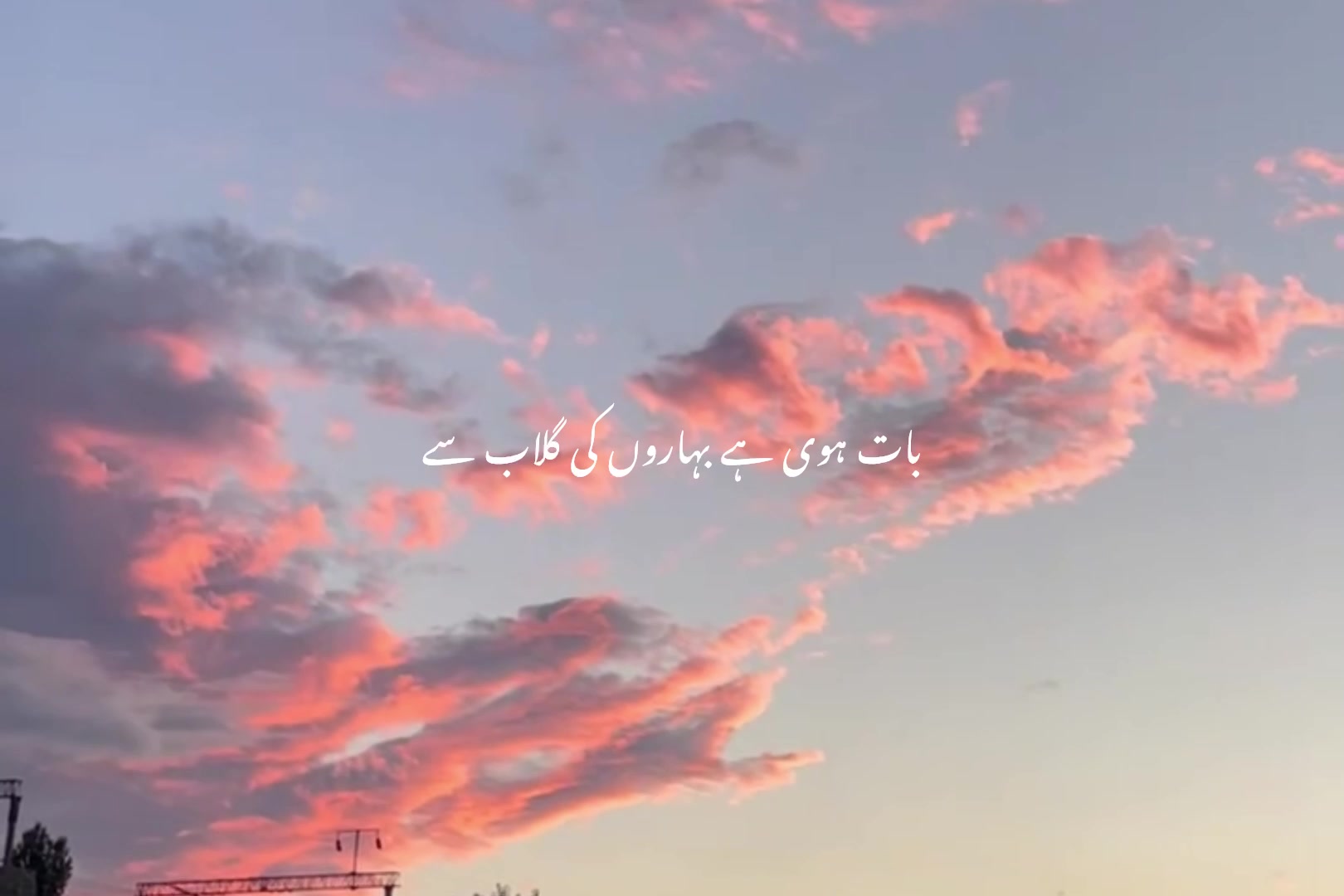 @ʟᴏꜰɪ ᴅʀᴇᴀᴍꜱ