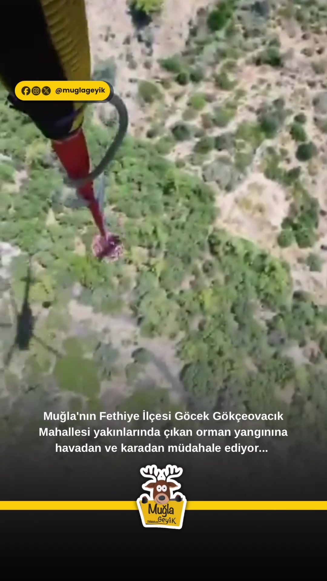 @Muğla Geyik