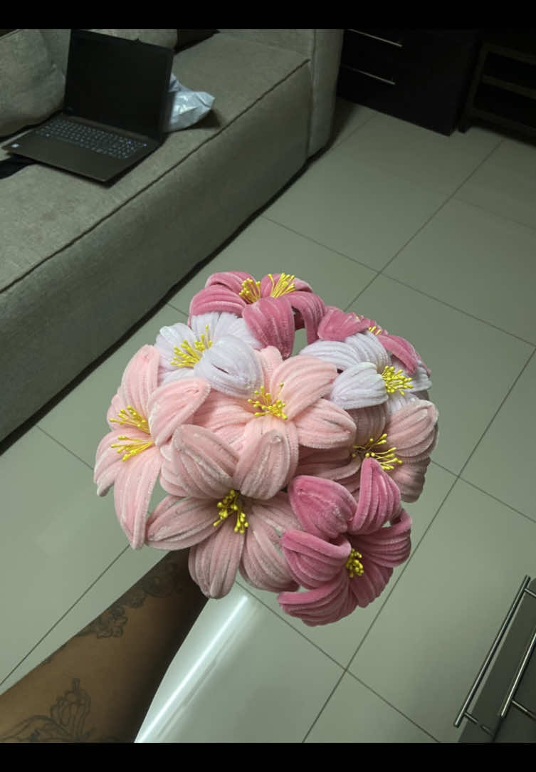 @clio. 🎀