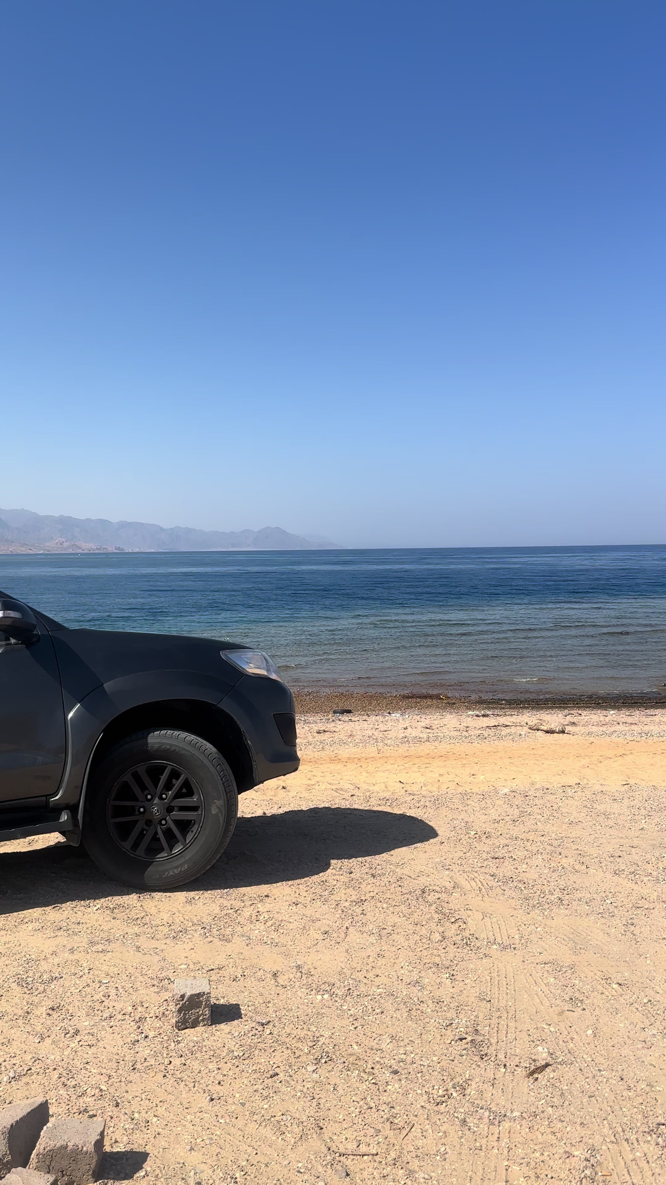 @محمدالاحيوي