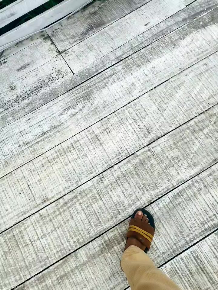 @โจ๊ซ๊ช๐ด๐ด๐ฒแฅ ๐ธ