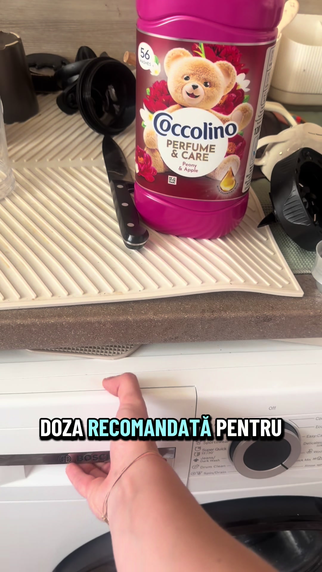 @Diana Ciortan Sphynx Romania