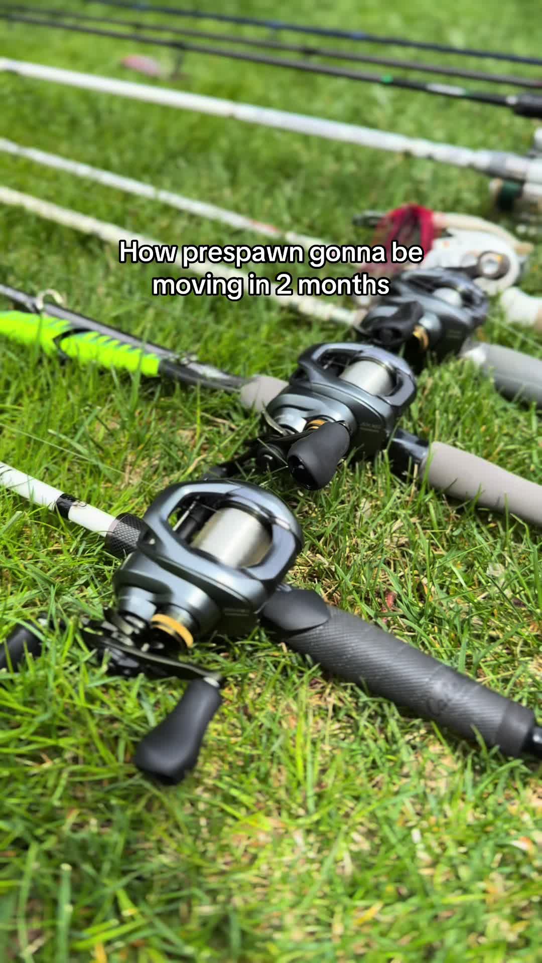 @FishGuy