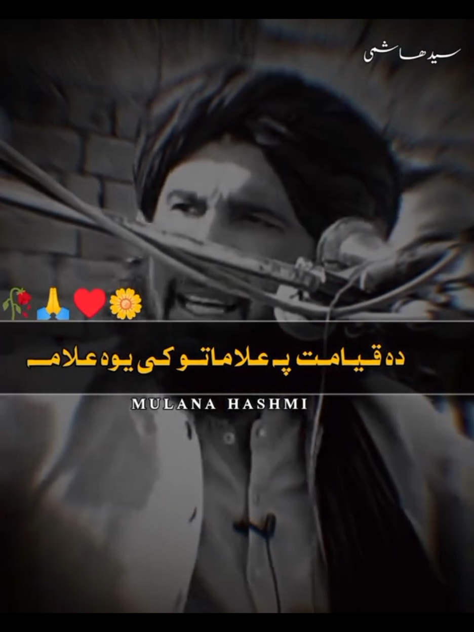 @🌹مولانا خلیم سید ھاشمی🌹