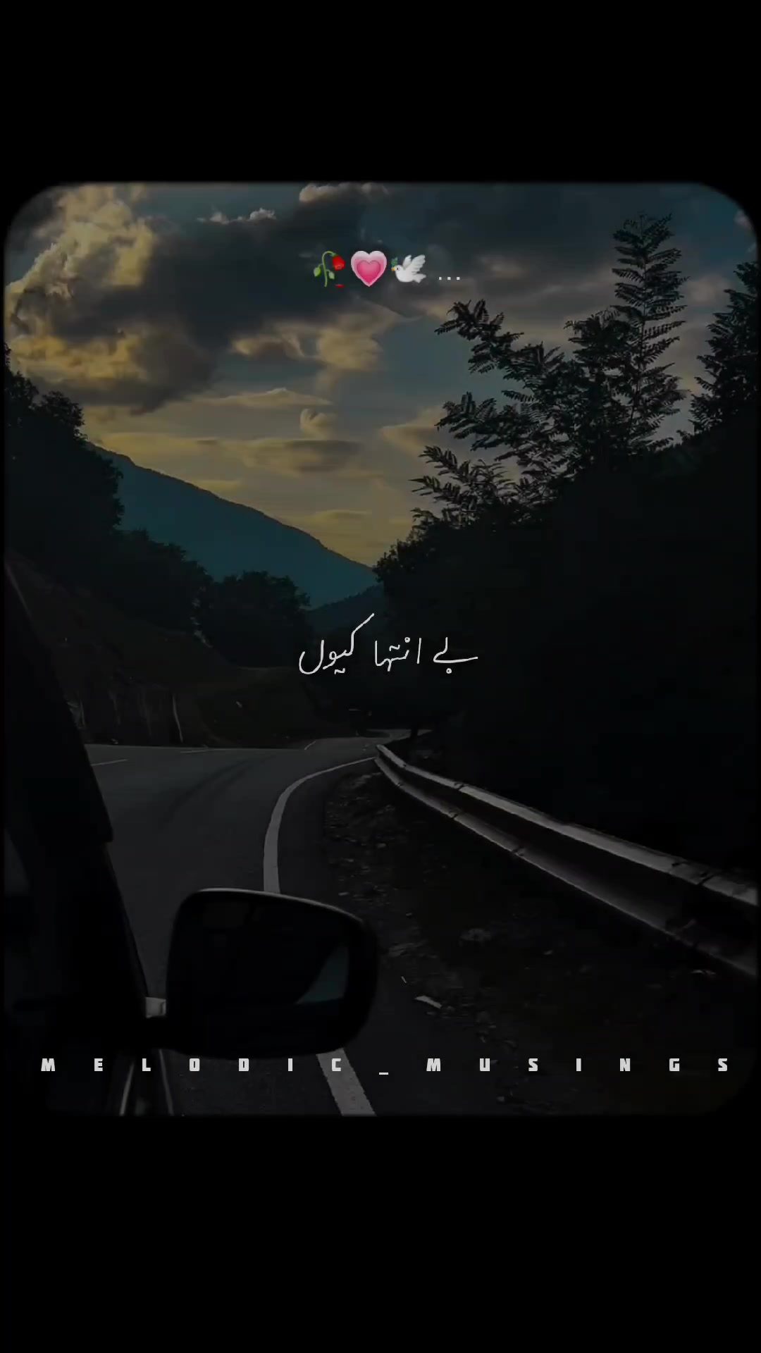 @Melodic Musings🎧🥀
