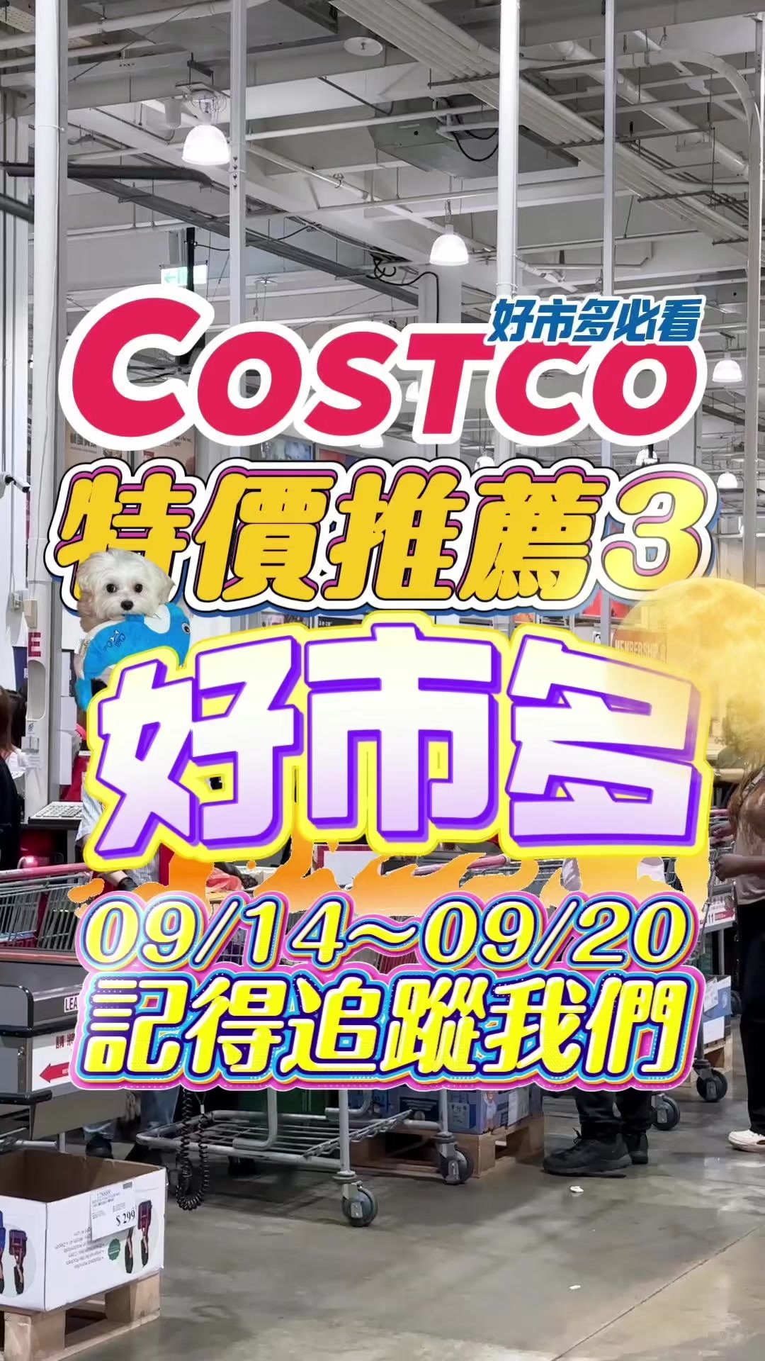 @Youtube搜尋🔍可可酒精