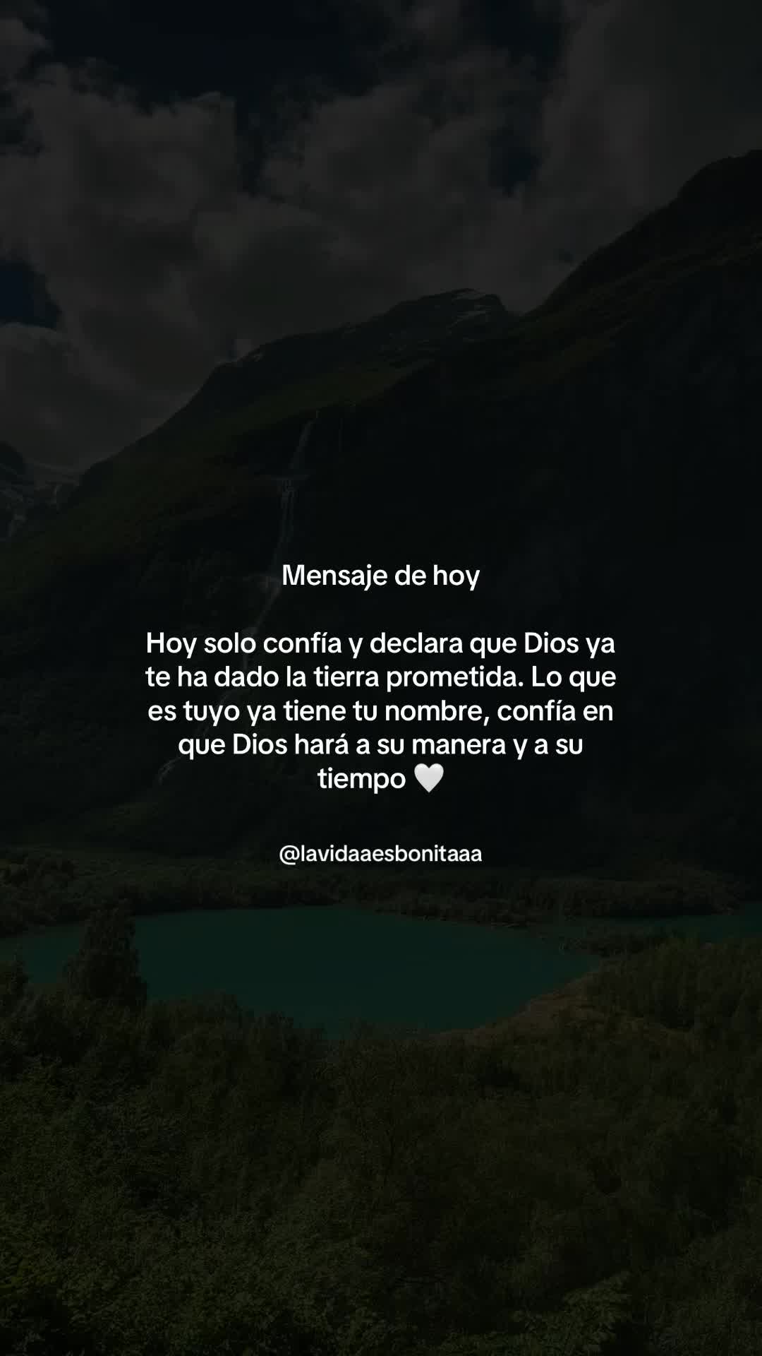 @vidabonita❤️&zwj;🩹