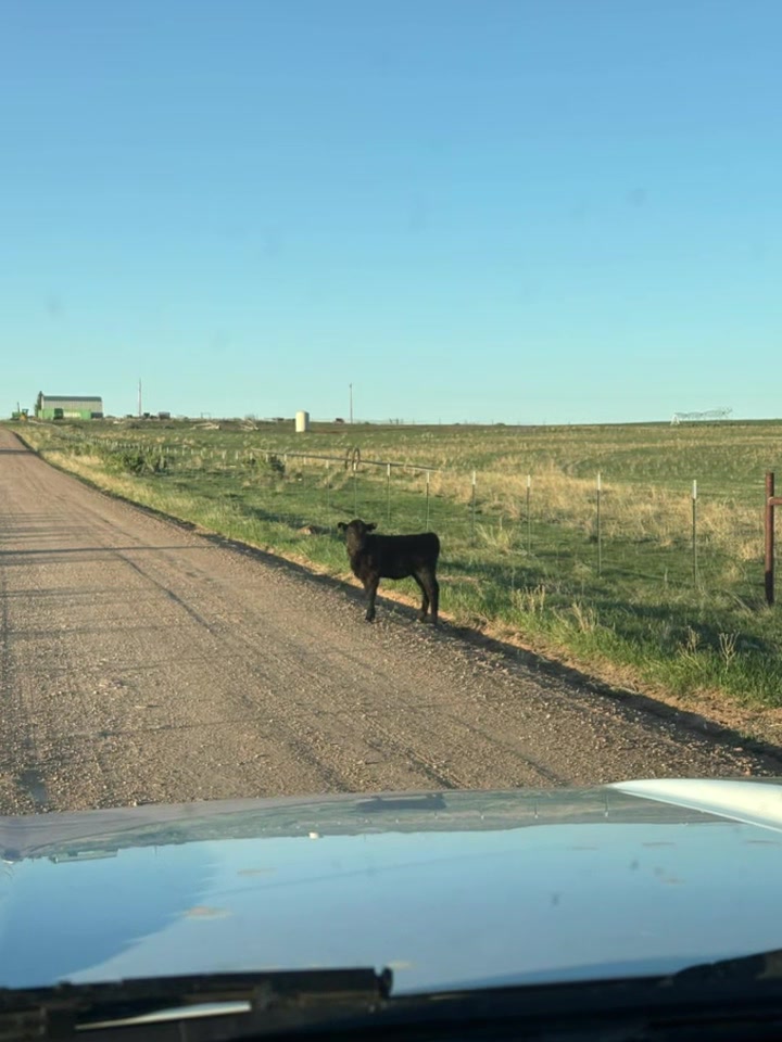 @EMT loose in the Wild