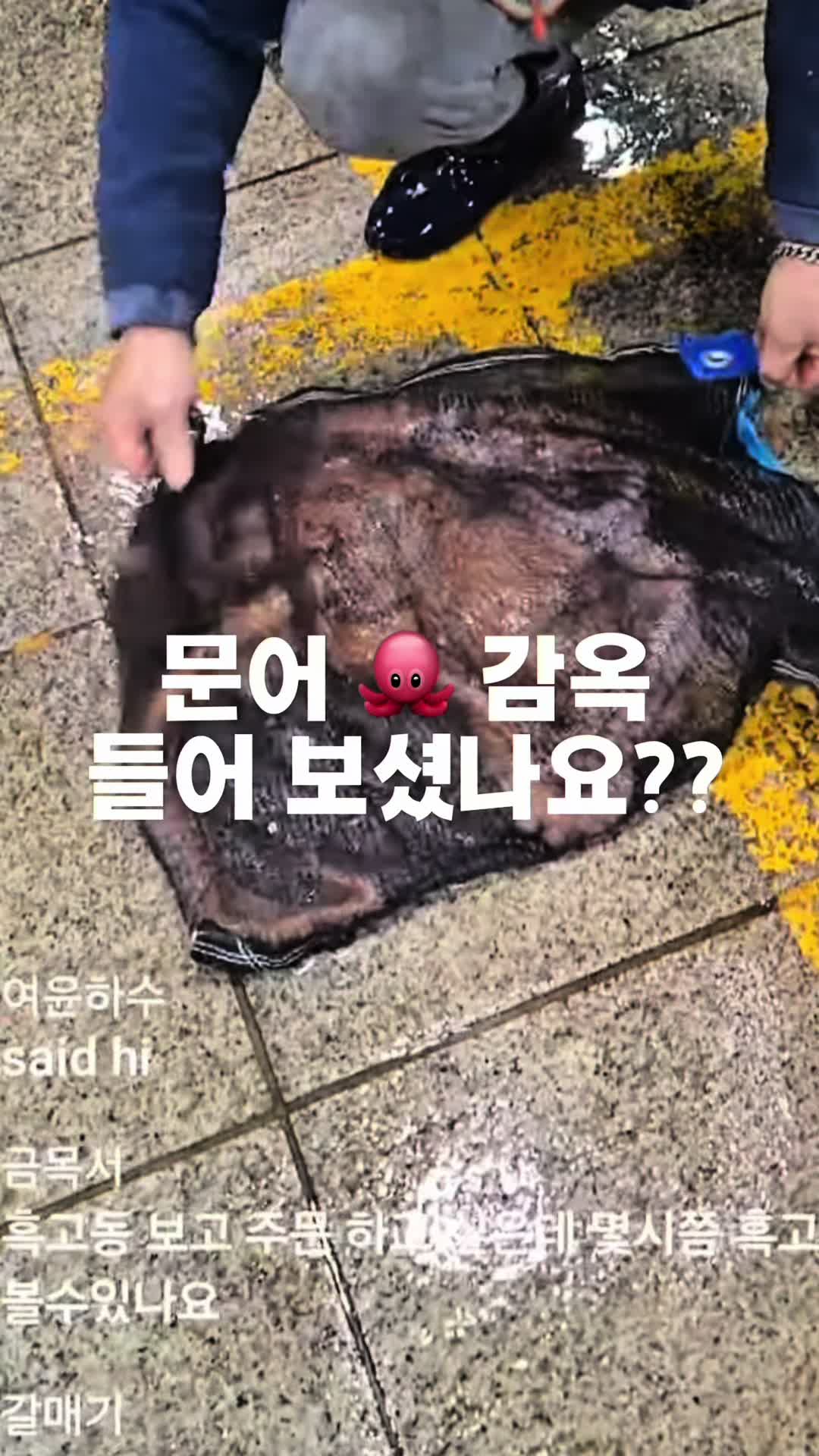 @독도사랑 생방송 판매자