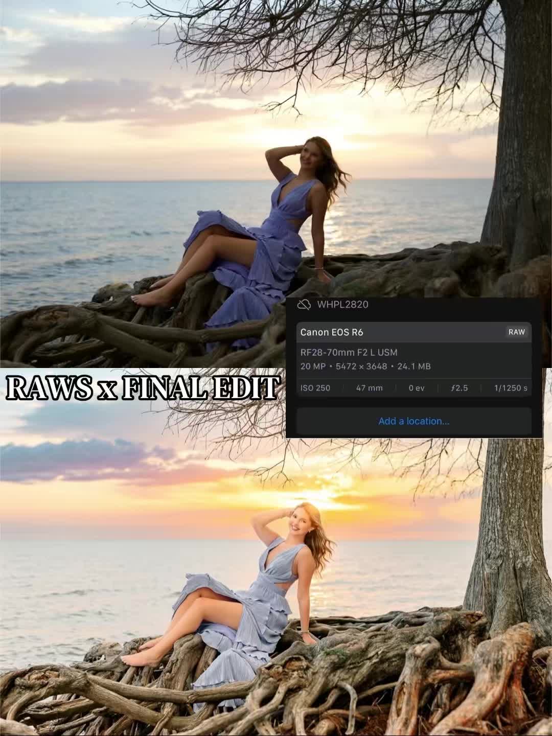 @Wild Hart Photography