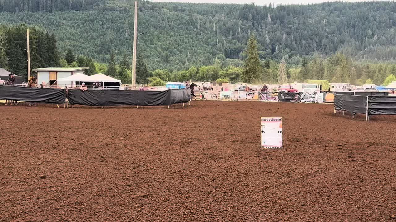 @TF Performance Horses