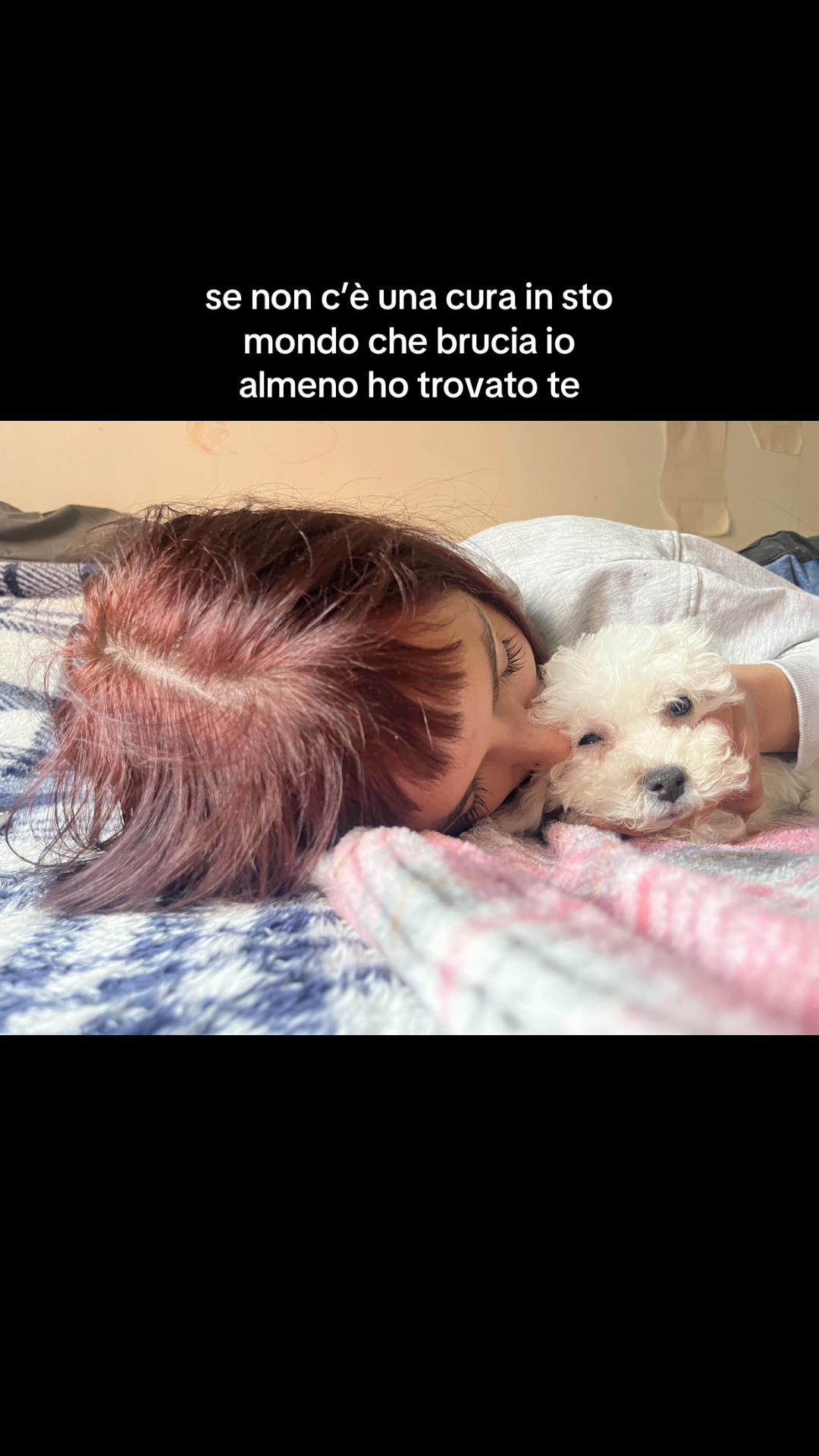 @vivi