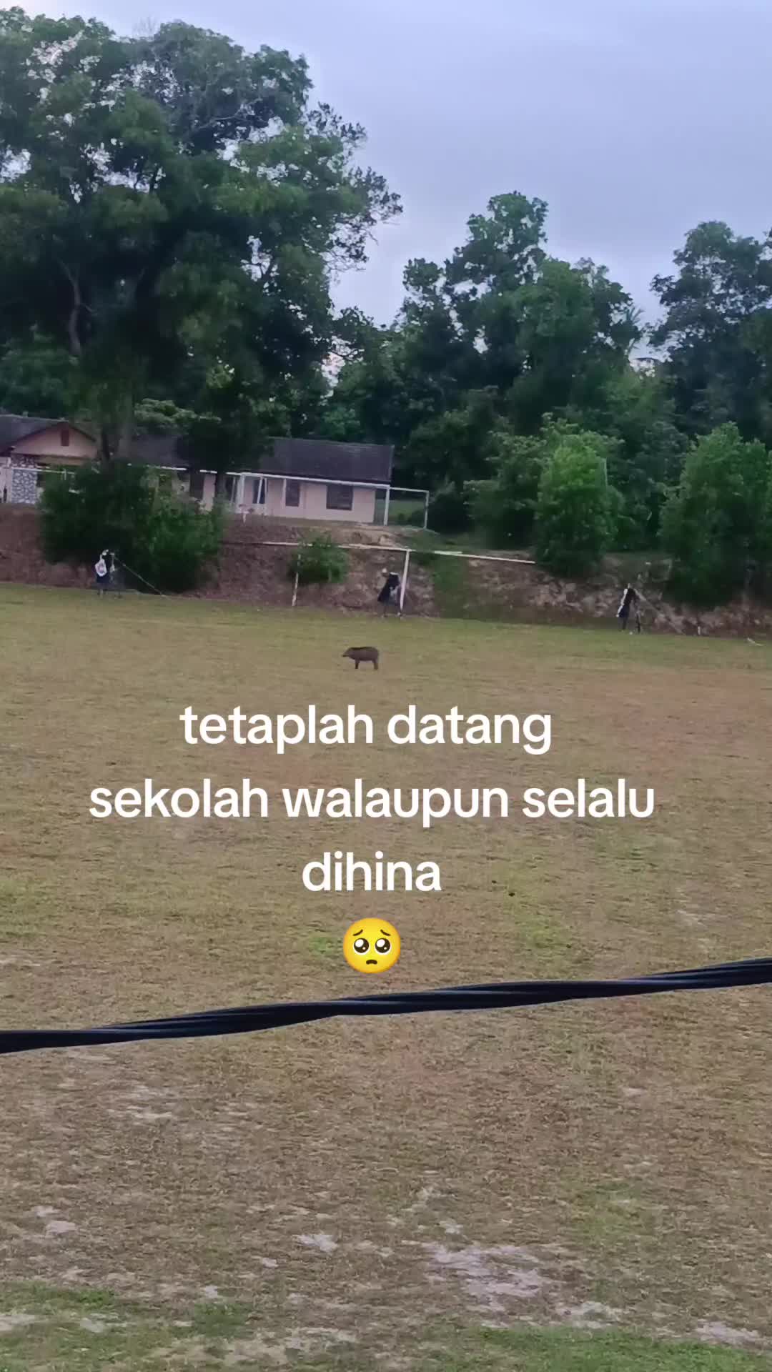 @ain mustika hana