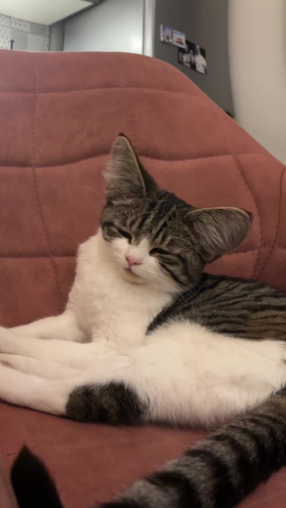 @Kiki