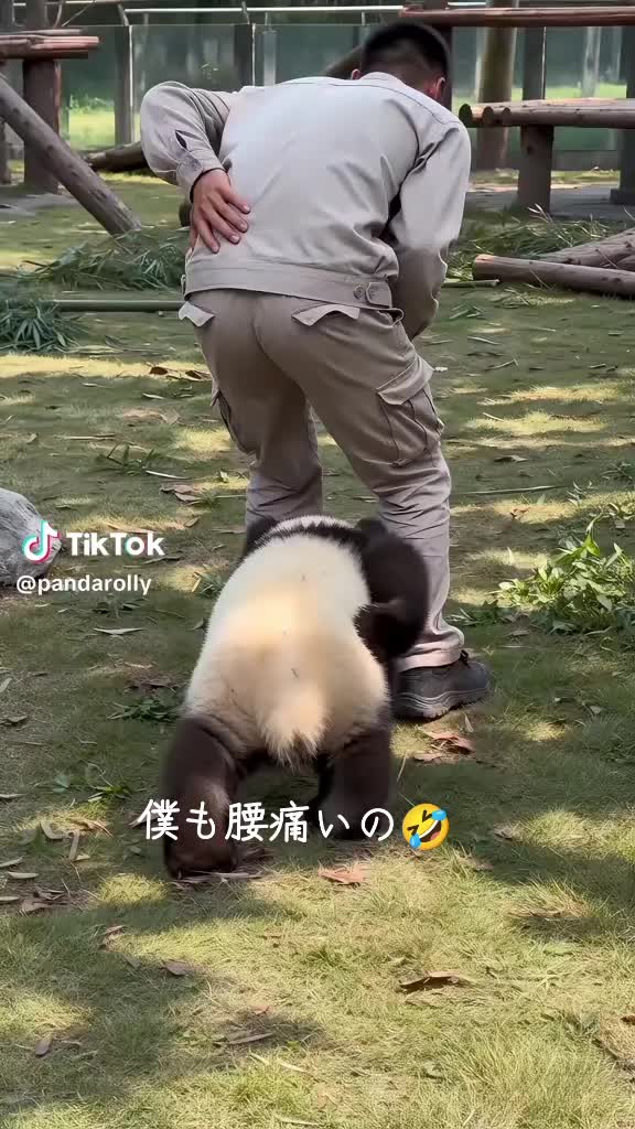@ひろし❗️