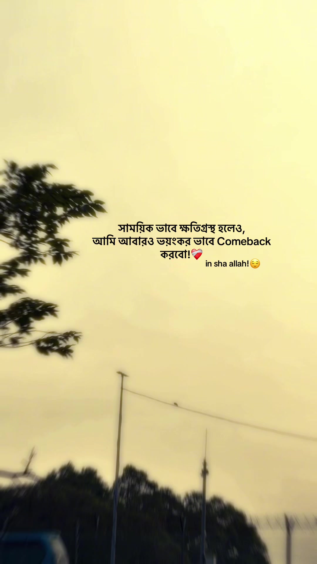 @आईएएन ┊🐥