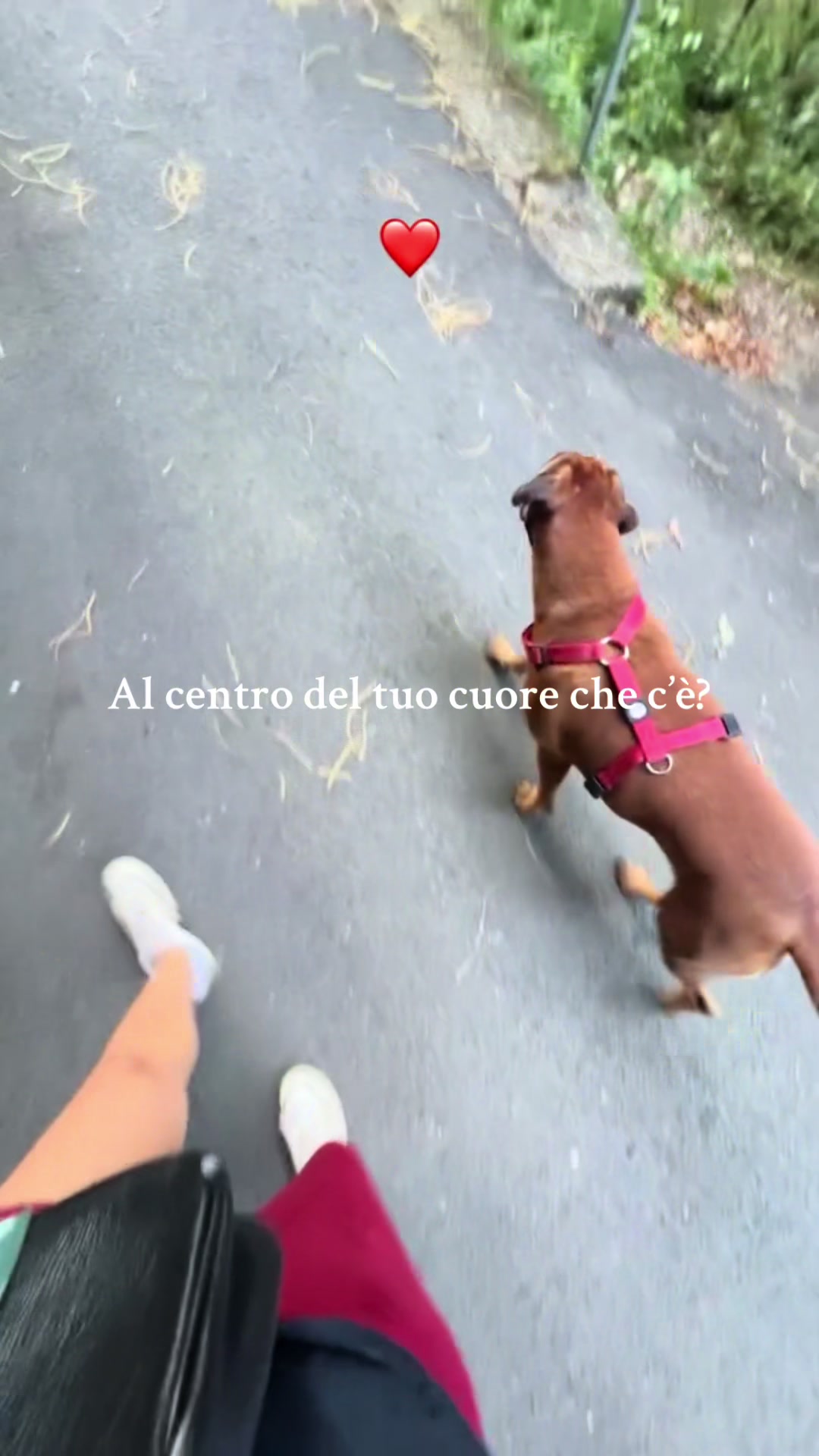 @Chiara Mariotti