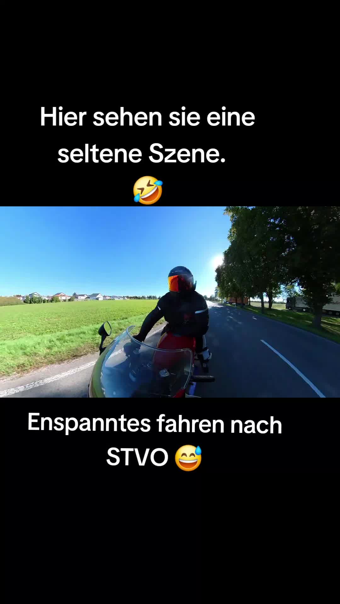 @Anni 🤪