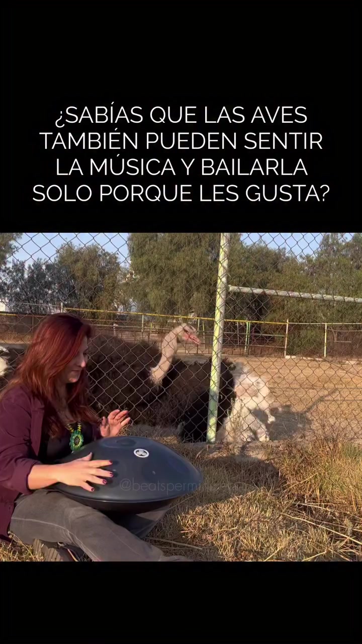 @Viviana Calabrese