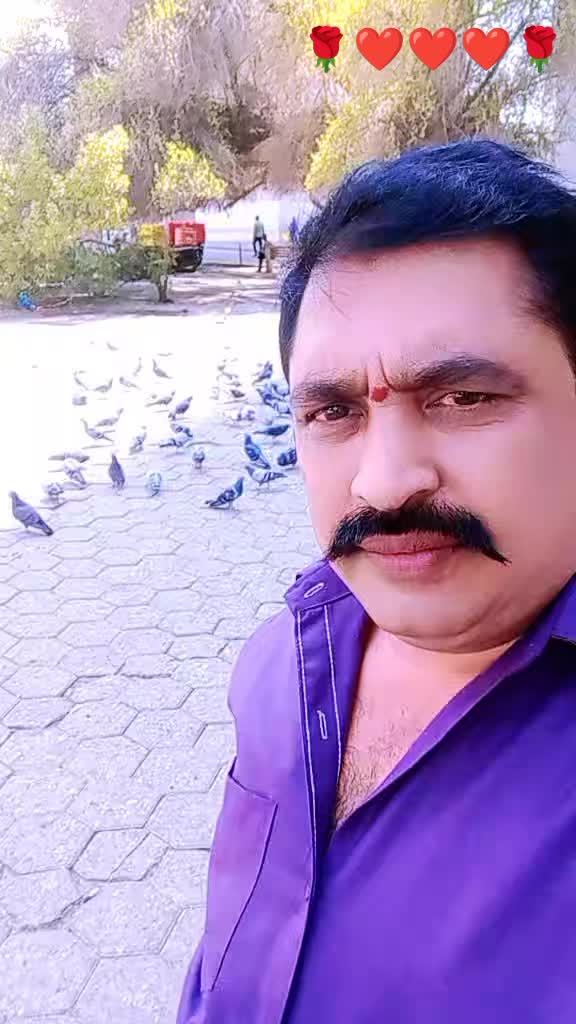 @Bhasker