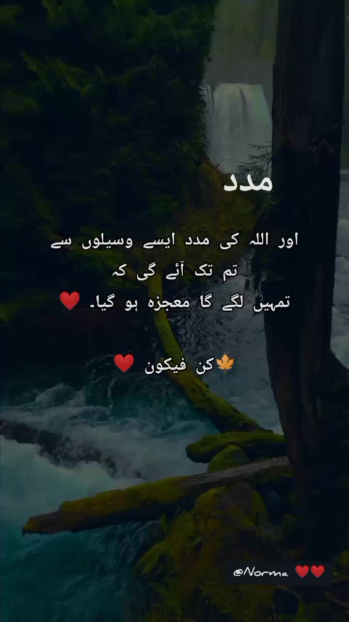 @کن فیکون ❤️