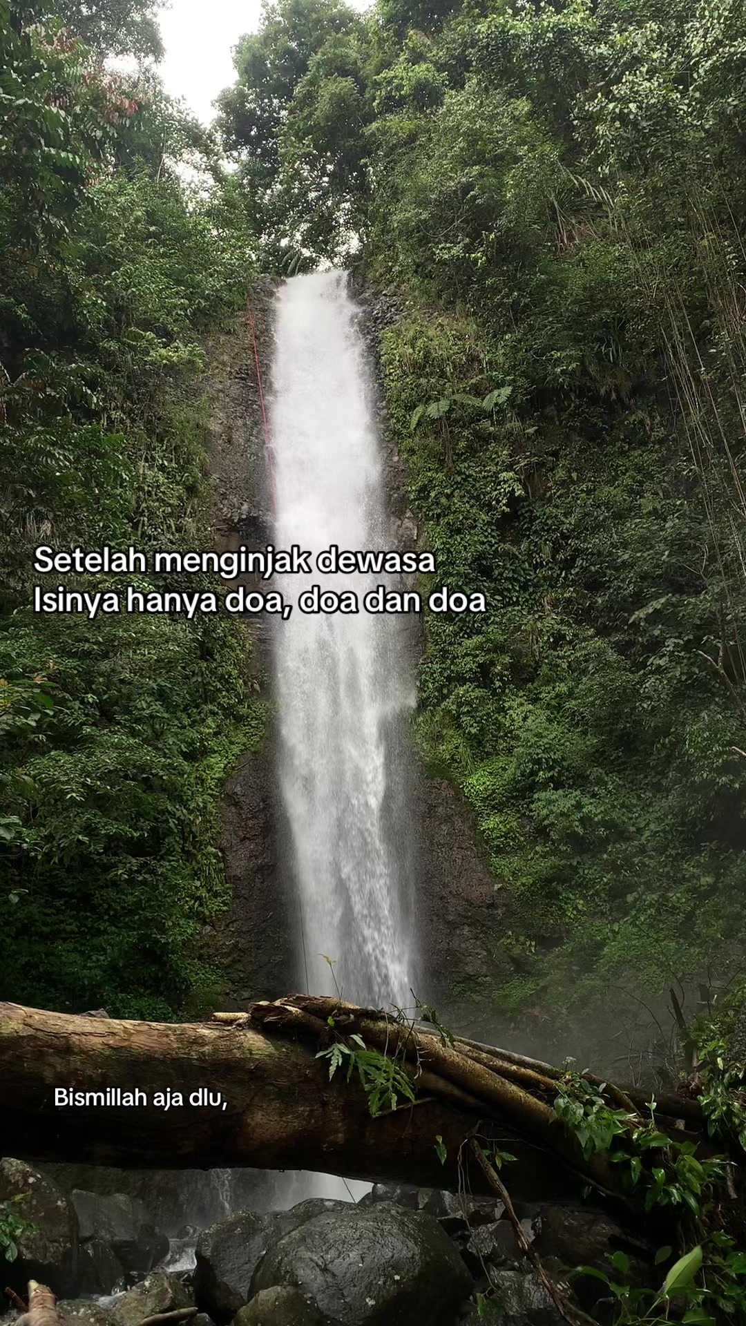 @kyzz
