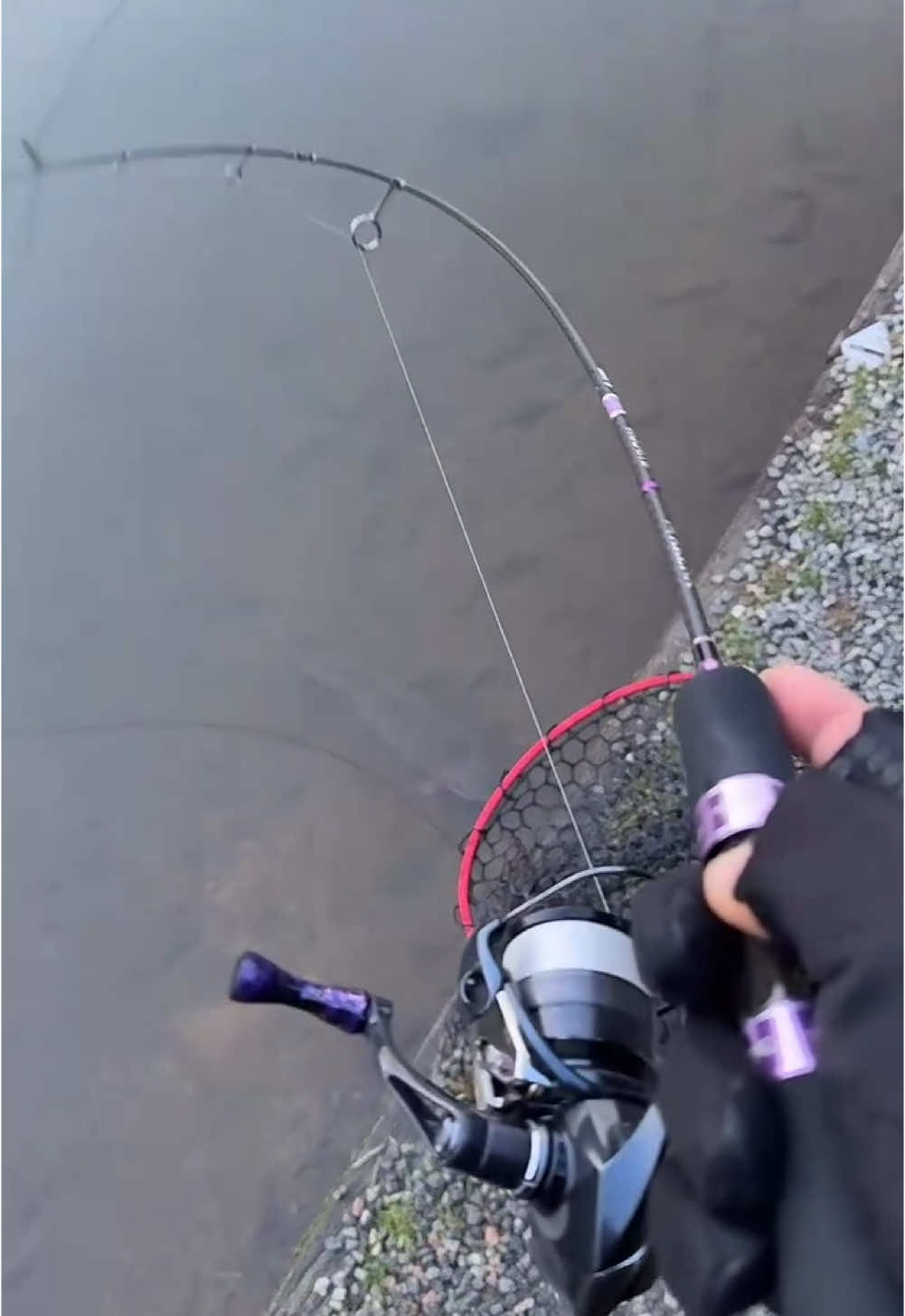 @Fishing_DP