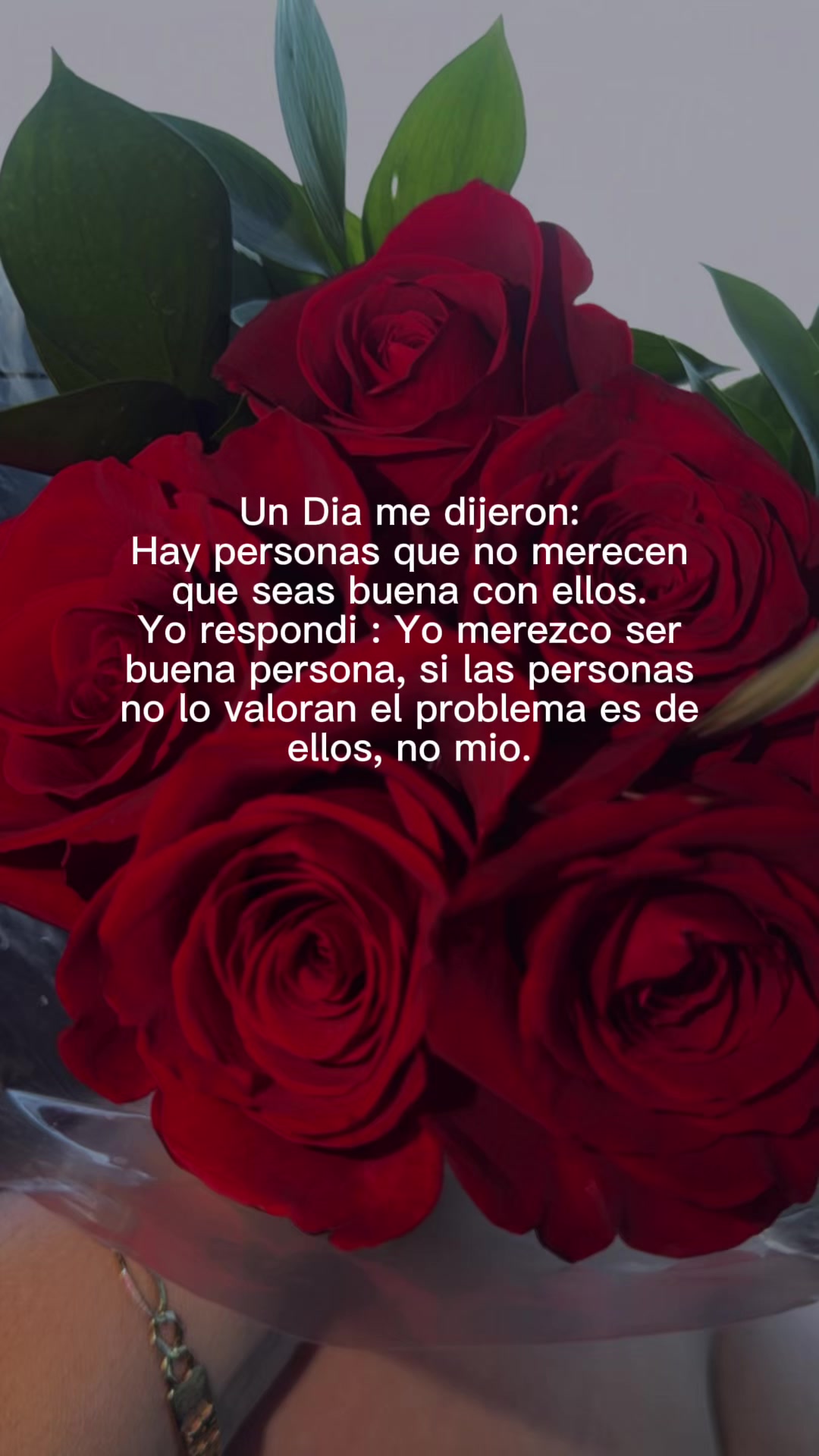 @🎀Celina Hernández🎀