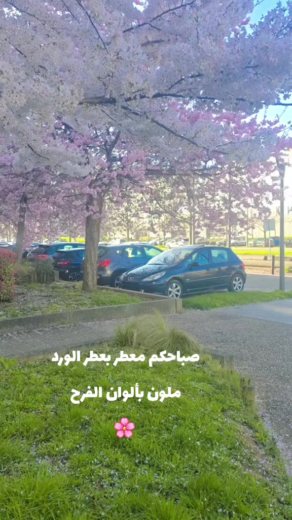 @🌸H A Y A T🌸