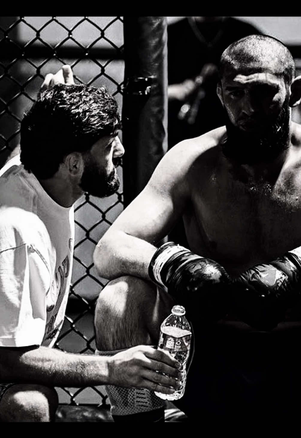 @kentizmma 🕷️