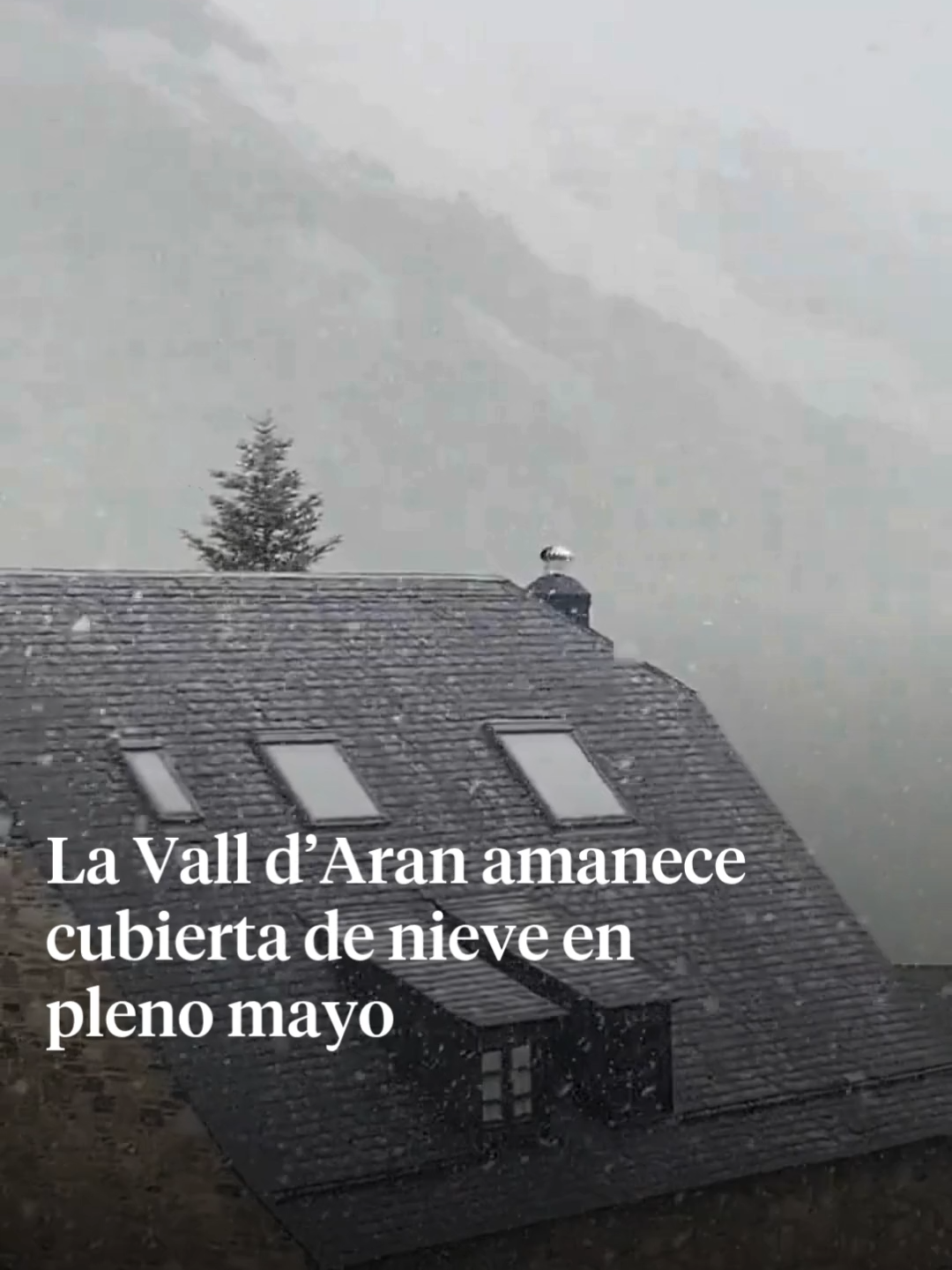 @La Vanguardia 🗞