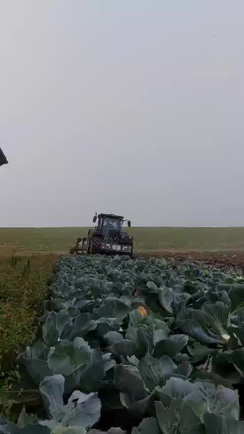 @Dolcescu Ionutz