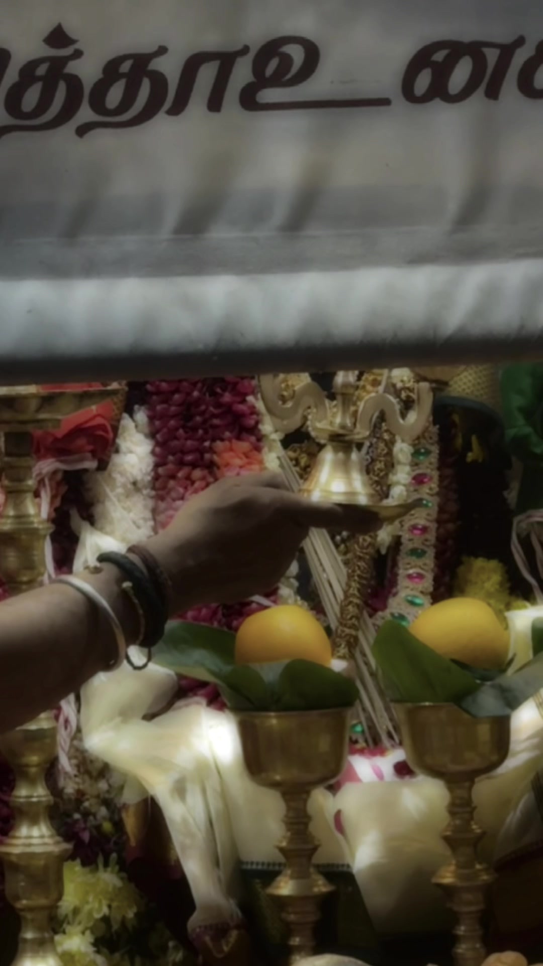 @🖤தனுசியா💫