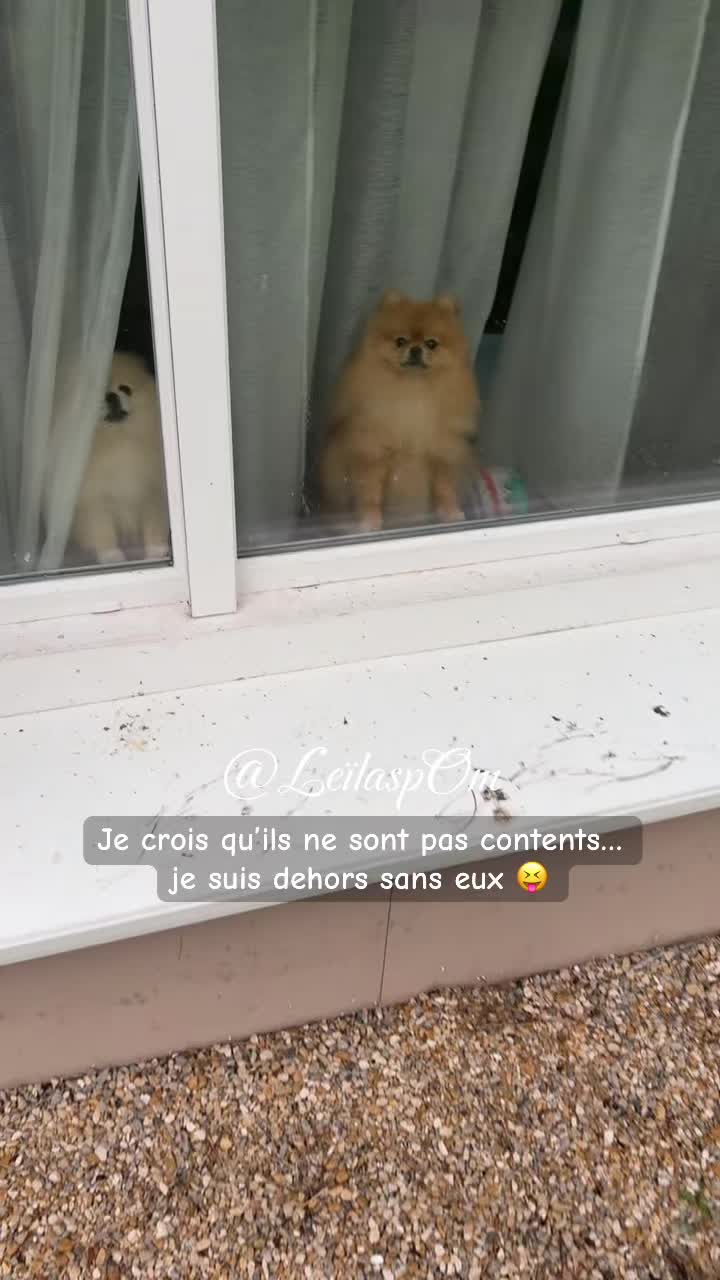 @🎀Leïla’spOm🎀