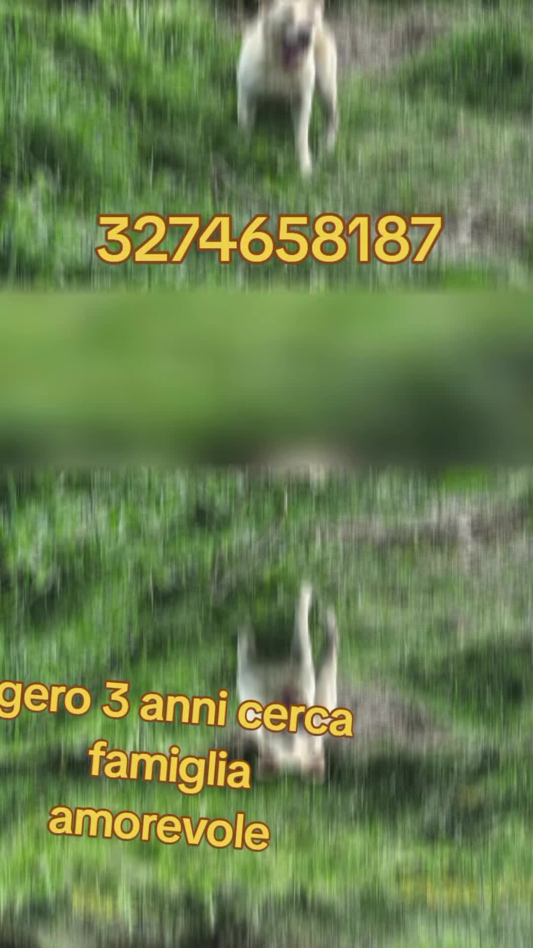 @Zito Calogera