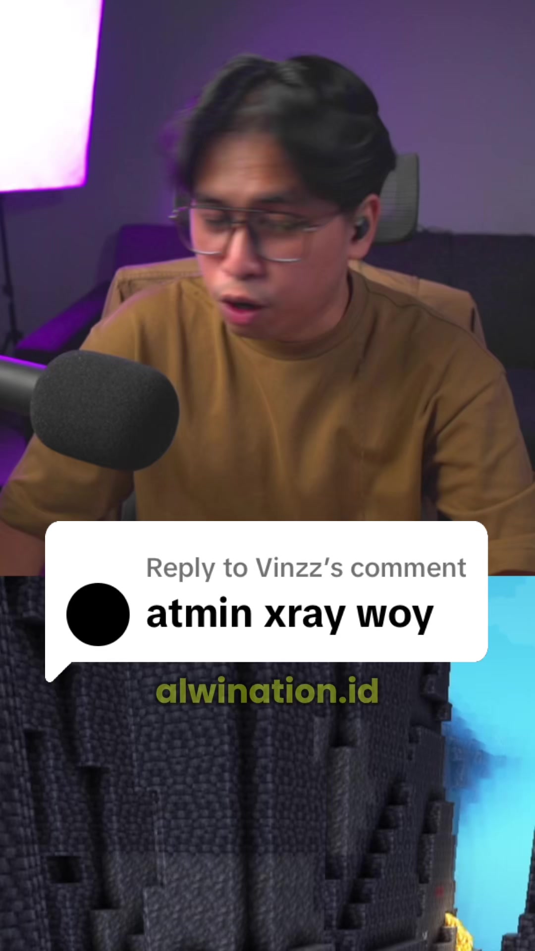 @Alwination - Server Minecraft