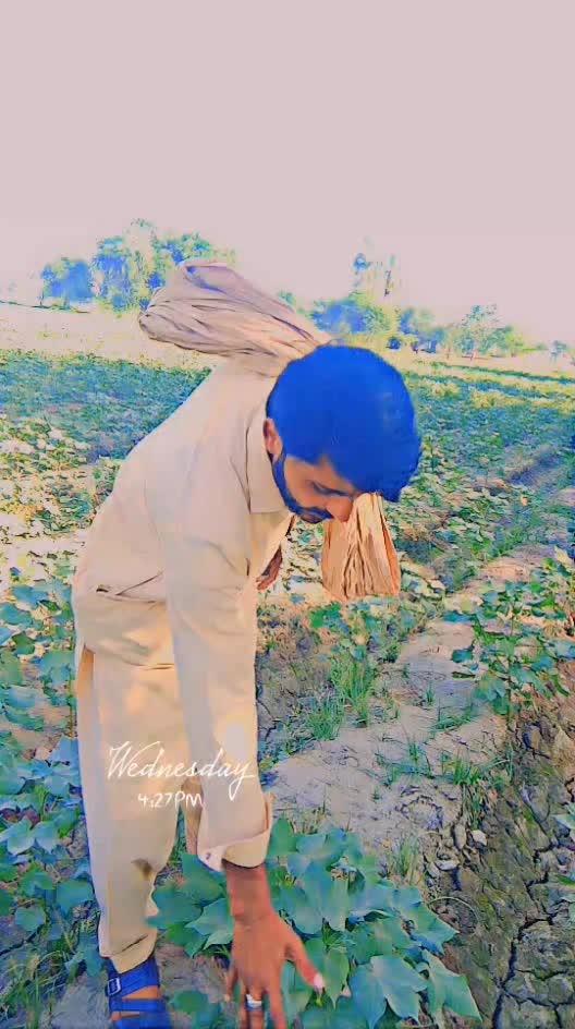 @tanveerkhang000