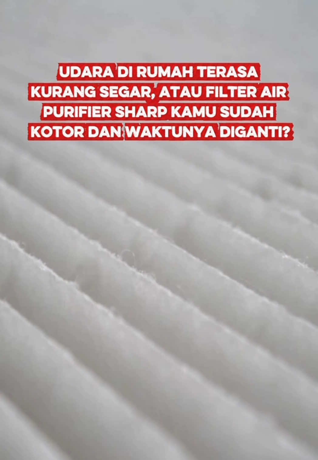 @Glodok123