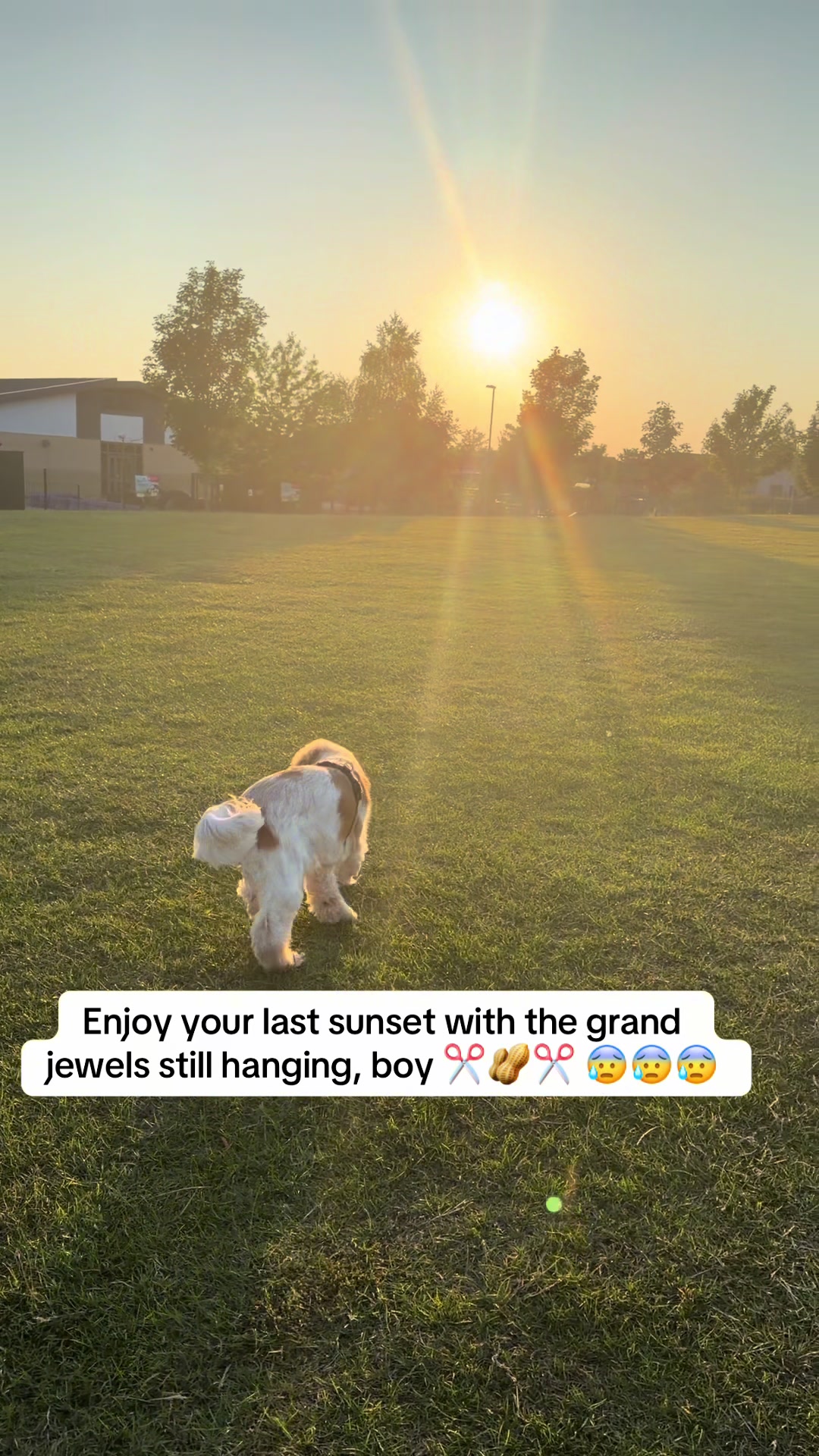 @Milo the Chungus