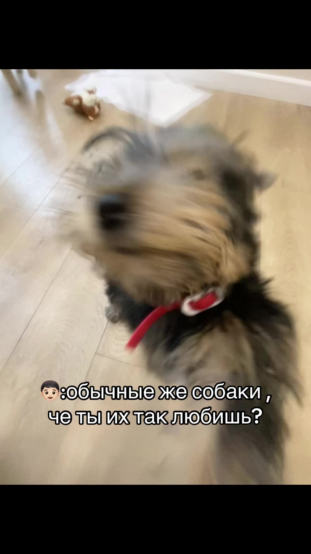@легенда североморска
