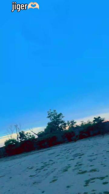 @Al_i⚜️