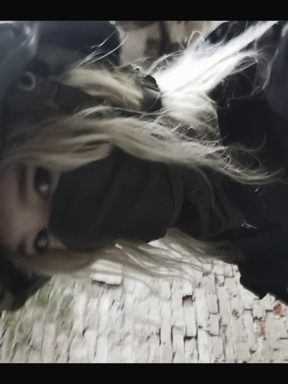 @ALNEST